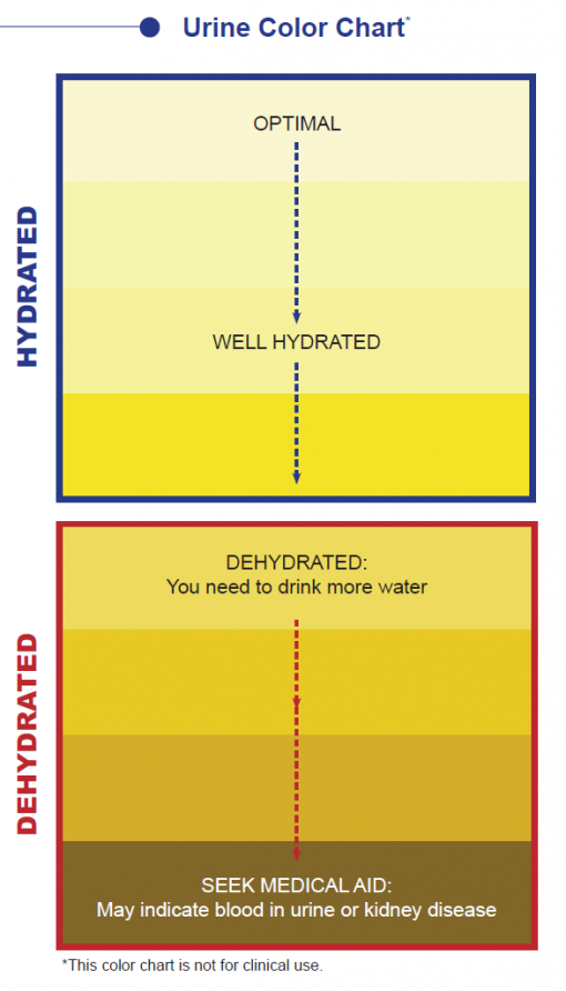 Hydration - Macros Inc