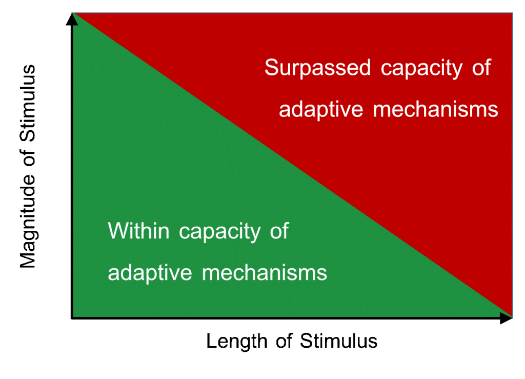 set point conceptual model