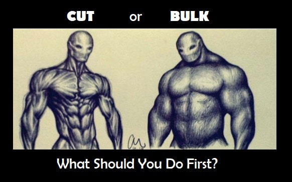 bulking and cutting weight