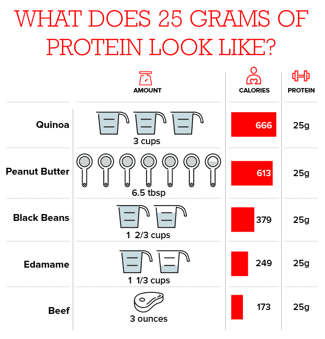 Protein Quality Macros Inc Does Protein Quality Matter