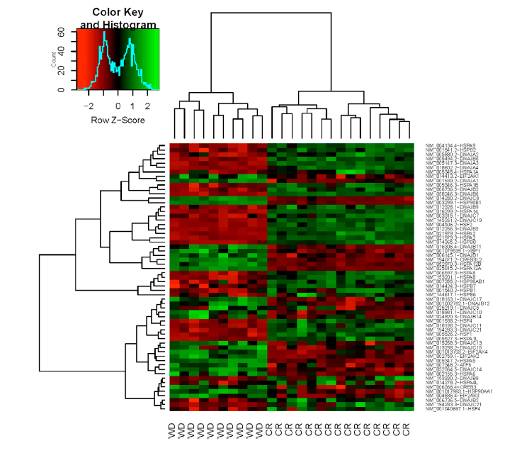 Yang et al. Cell Reports 2015