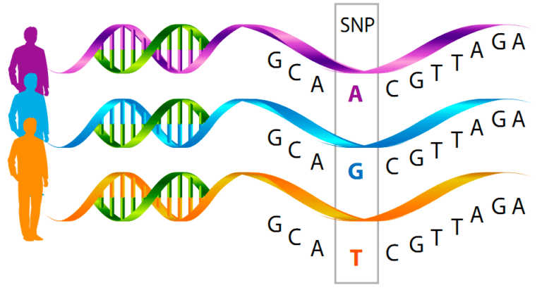 nutrigenomics-figure-2-768x412