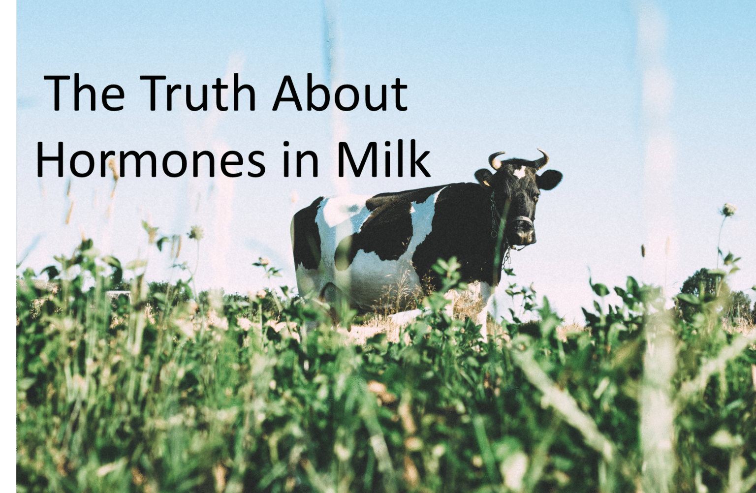 The Truth About Hormones in Milk Macros Inc