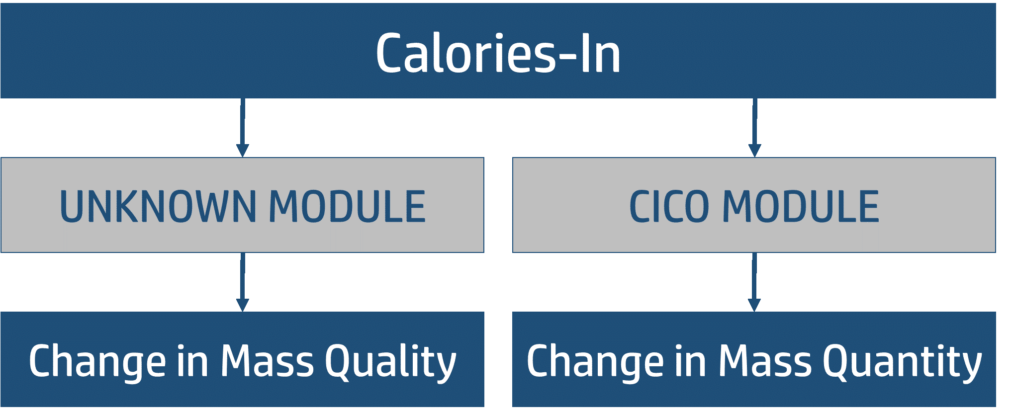 Body Weight Regulation What Controls the Scale Macros Inc