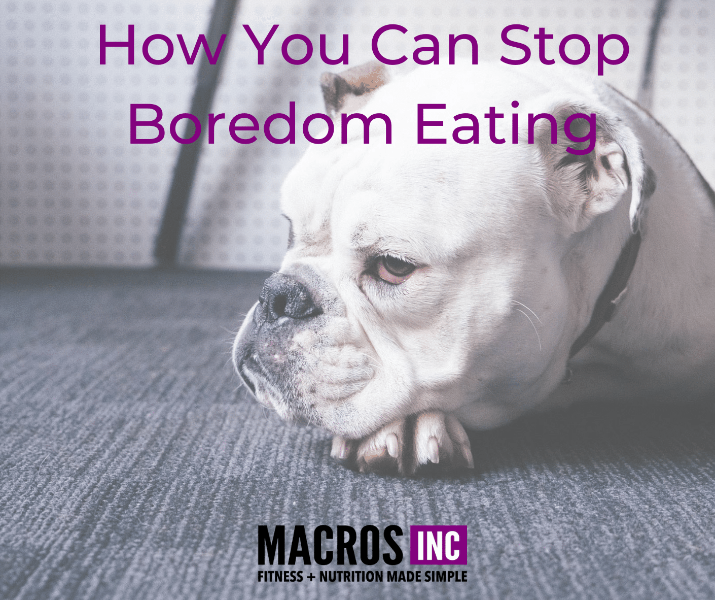 How You Can Stop Boredom Eating Macros Inc