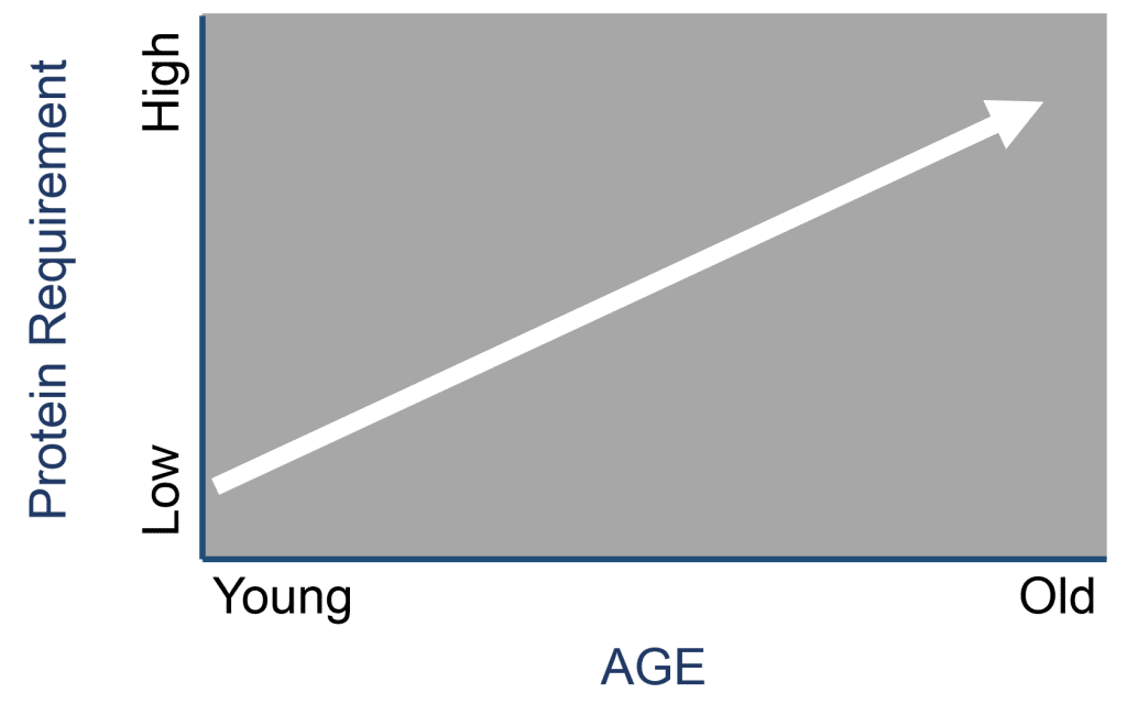 Graph showing that more protein is needed as we age from young to old | Macros Inc
