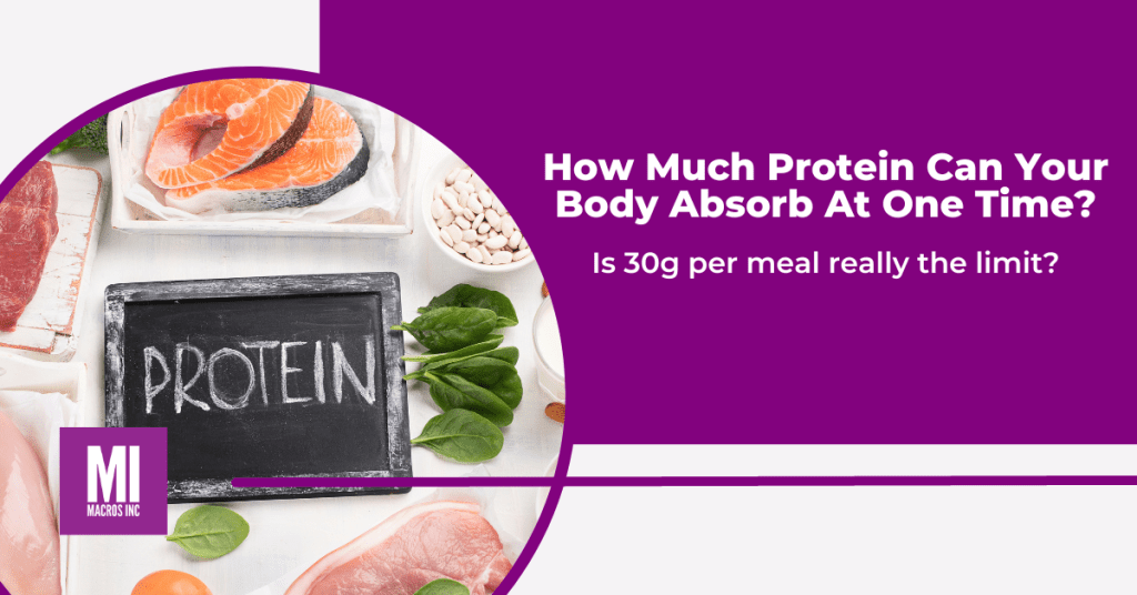 How much protein can your body absorb at one time | macros inc