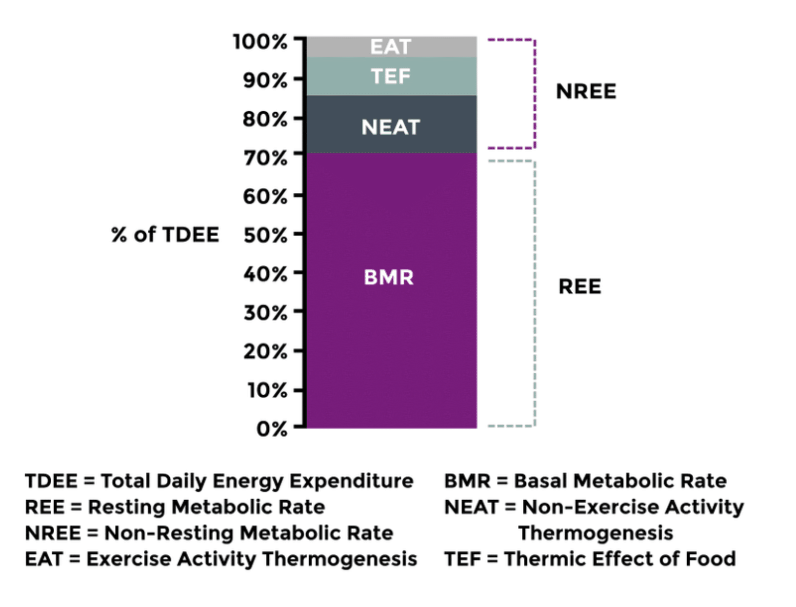 how-to-measure-your-resting-metabolism-and-does-it-really-matter