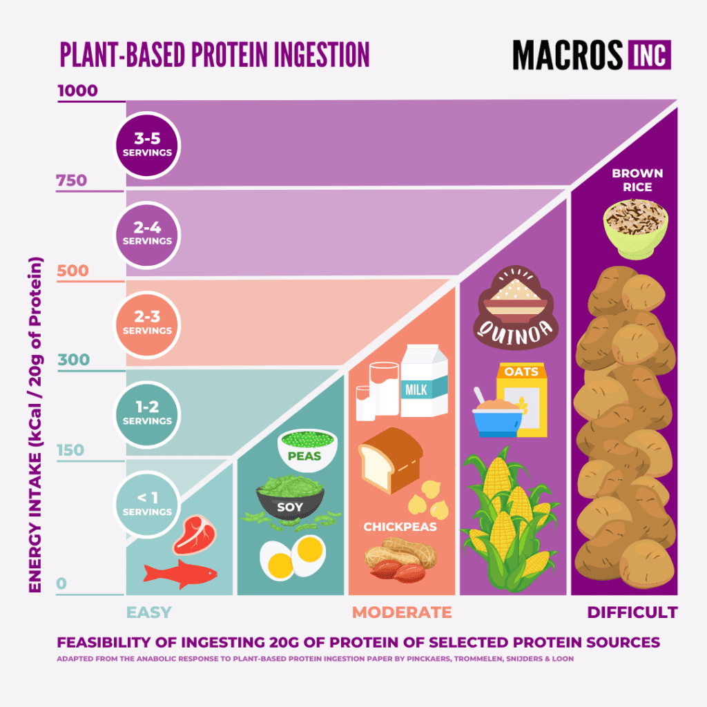 Graph showing the differences in plant and animal based protein | Macros Inc