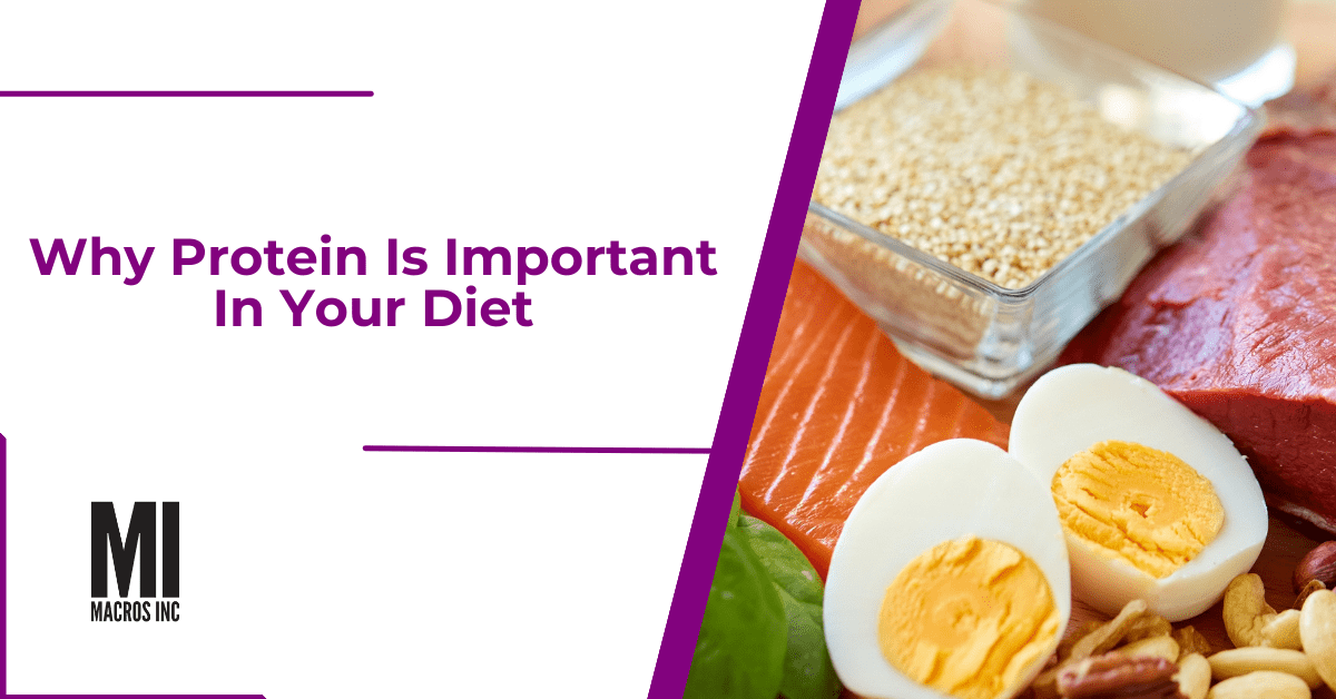 why protein is important in your diet | macros inc