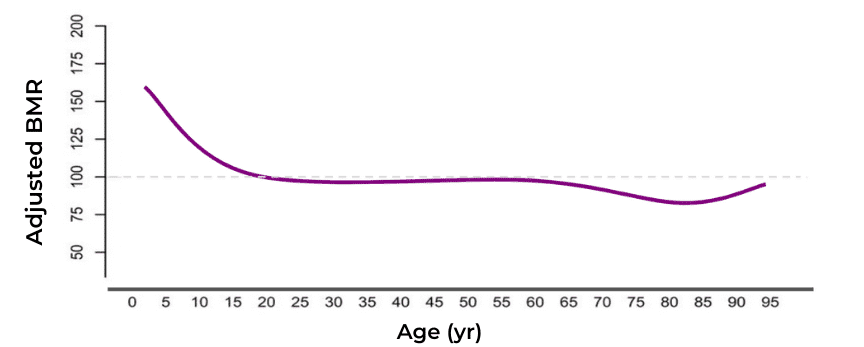 Adjusted BMR by Age graph showing the older you get, the less calories you burn in a day