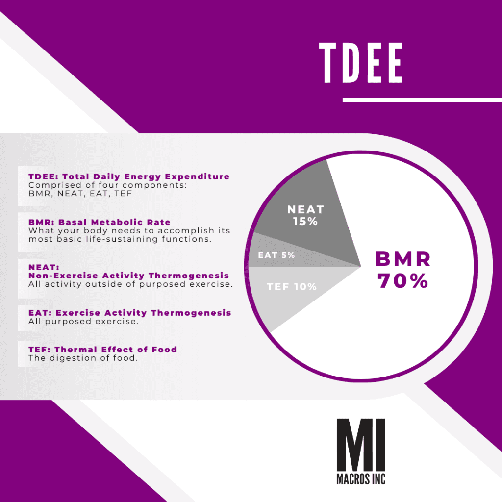 TDEE graph showing BMR, NEAT, EAT, TEF breakdown