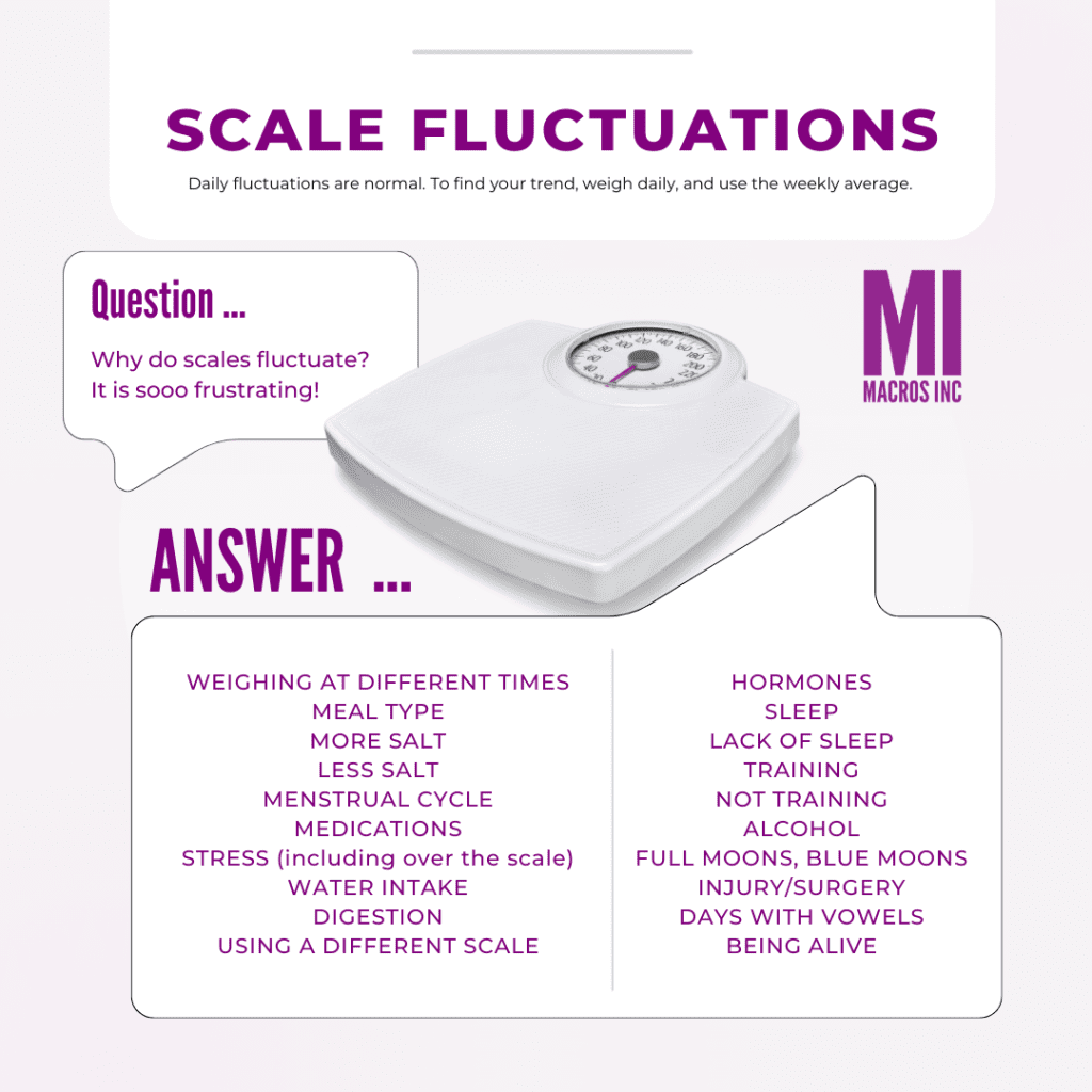 Daily Weight Fluctuation Explained: Why the Scale Changes So Often