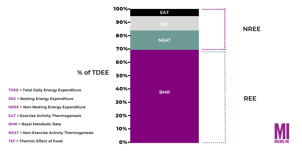 a graph showing the percentages of total daily energy expenditure that BMR (65%), NEAT (20%), TEF (10%) and EAT (5%) take up. 