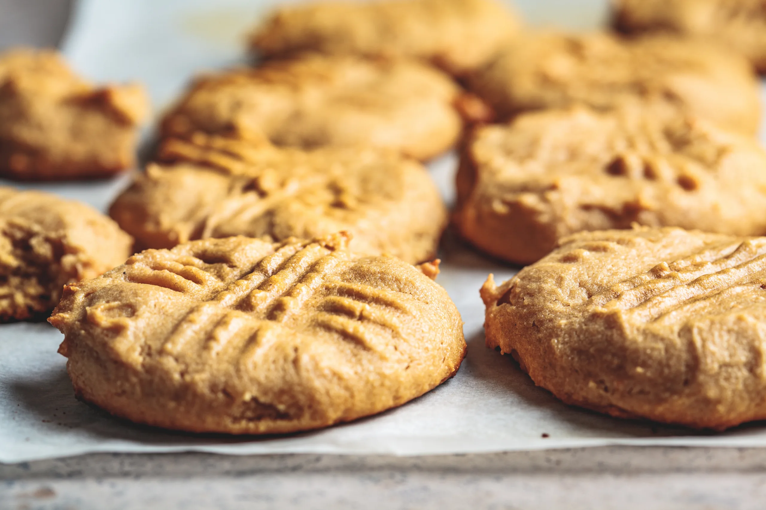 Peanut Butter Christmas Cookies - Macros Inc