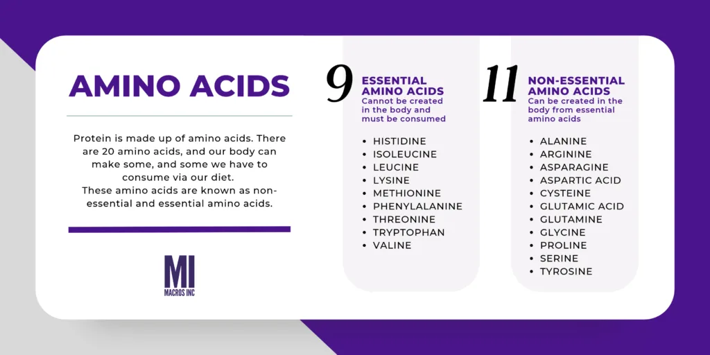 Amino Acids