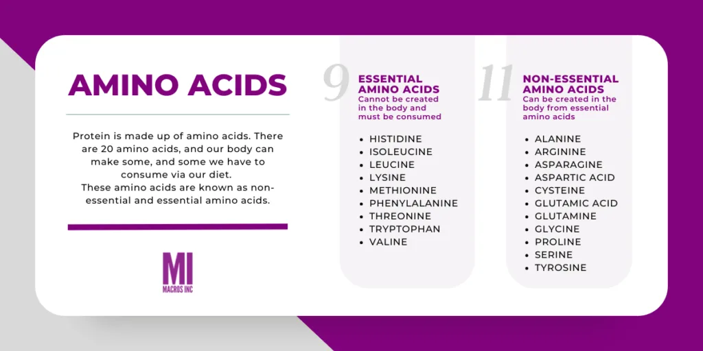 Essential and Non-Essential Amino Acids