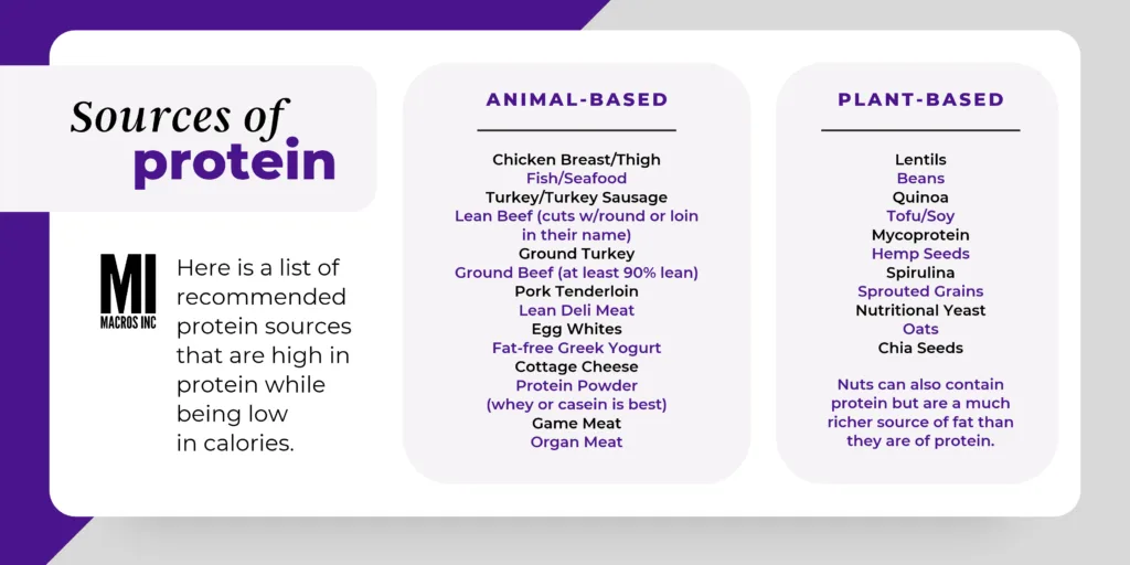 Sources of Protein