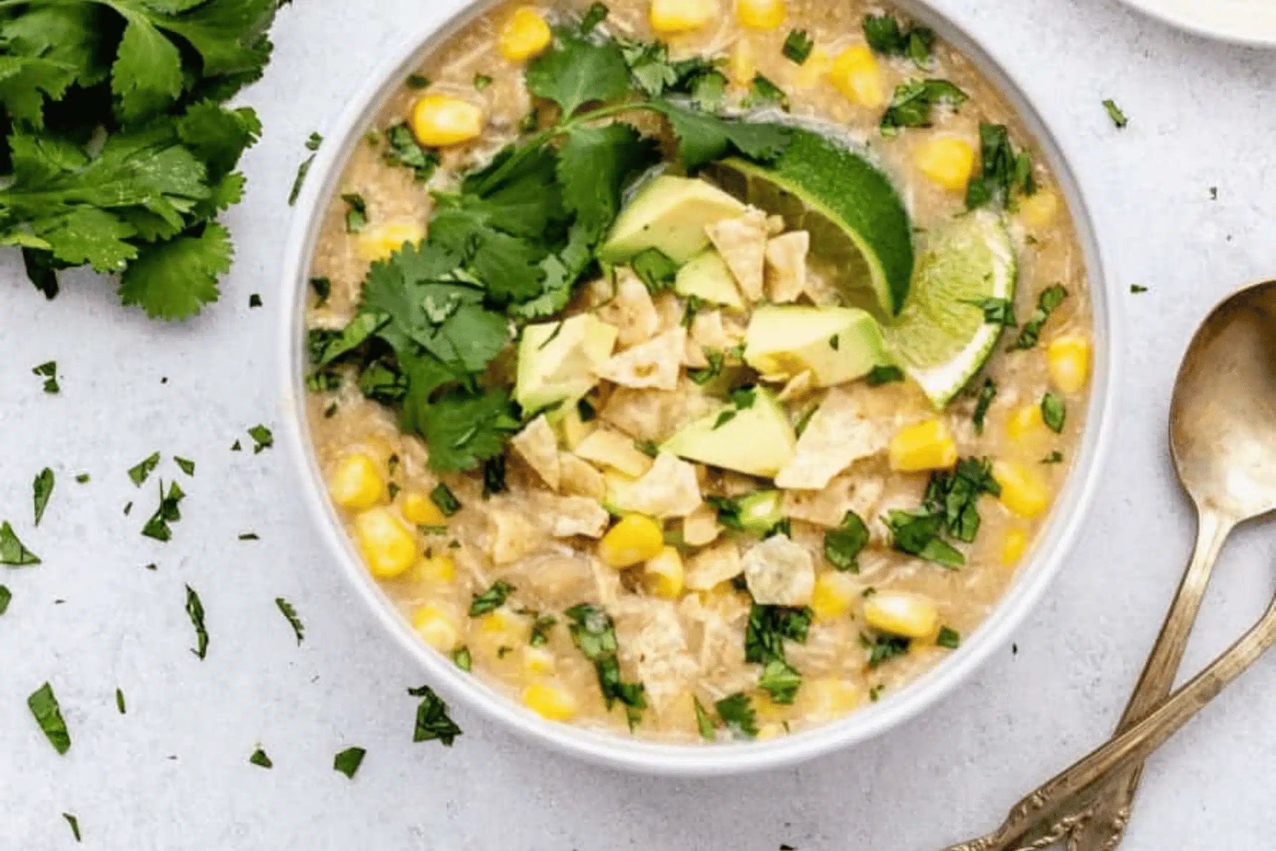 High-Protein White Turkey Chili Verde - Macros Inc