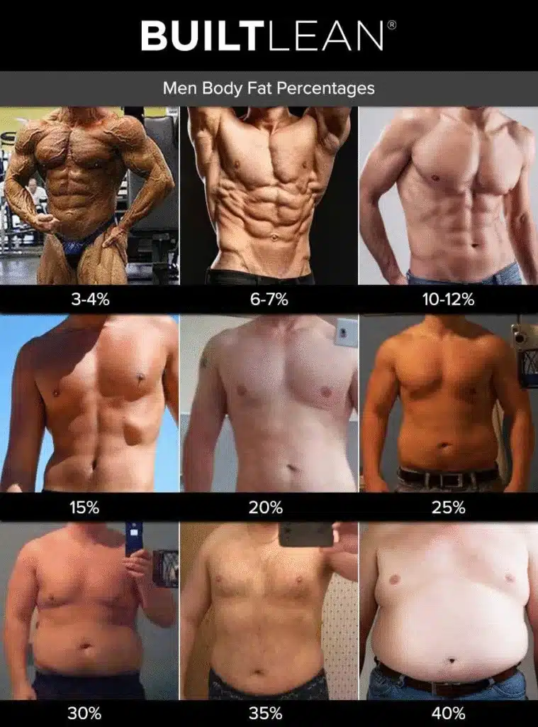 Figure 1. Rough visual approximations for body fat percentages of men.