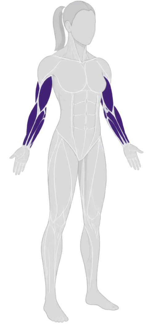 arms