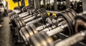 arnold-split-workout-plan