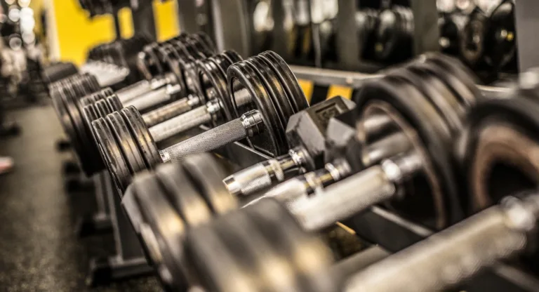 Arnold Split Workout Plan