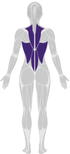 back