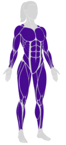 full-body